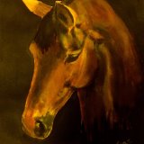 Dark Horse