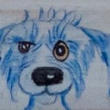 Dogs