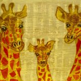 Giraffe Family