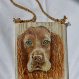Spaniel