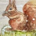 Squirrels