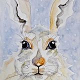 Snowy Hare