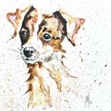 Jack Russell