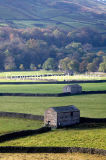 Barns in a line, Swaledale