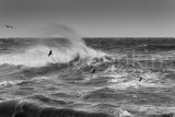Rough seas