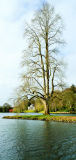 Folly, Stourhead (not for sale)