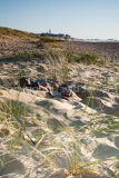 Pebbles on the beach, Southwold