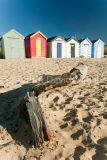 Driftwood and huts, Southwold