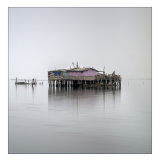 A splash of pink through the fog