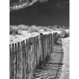 Sand Dunes near Lydd