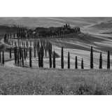 Tuscany Mono Landscape
