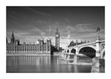 Westminster