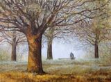 Richmond Park. Sitting, Thinking.