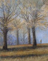 Richmond Park. Walking, Thinking.