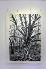 Large Twisted Beech woodcut