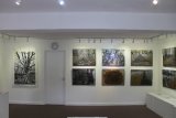 16 Gallery View