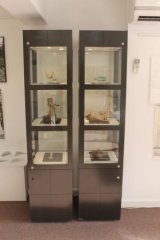 33 Cabinet of curiosities