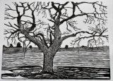 Field Ash woodcut