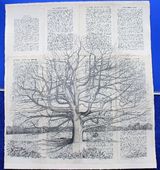 Northchurch Common Oak (SOLD)