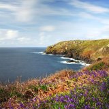 126-Bluebells Crown Mines