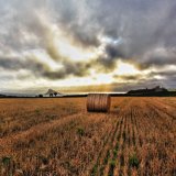 146-Towards St Michaels Mount