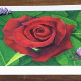 Fine Art Giclee Print - Red Velvet