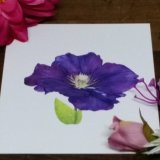 Fine Art Giclee Print - Radiant