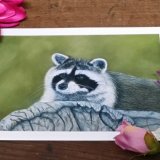 Fine Art Giclee Print - Rascally Raccoon
