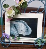 Fine Art Giclee Print