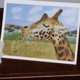 Contentment Card