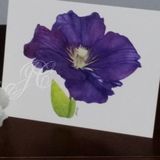Radiant Card