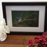 Framed Fine Art Giclee Print - Fabulously Divine