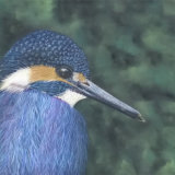Ever Watchful