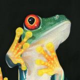 No Pictures Please Red-eyed Tree Frog Painting
