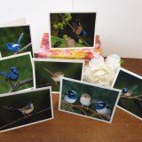 Fairy Wrens of Australia Boxed Set of Artist Cards