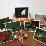 Boxed Set of Christmas Artist Cards