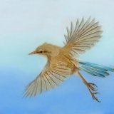 Fairy Flight
