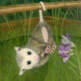 Just Hanging Out