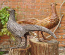 Pheasants - cold cast bronze and cold cast iron. For Sale at £220.00 each