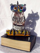WWW.Wise Owl Eco trophy commission