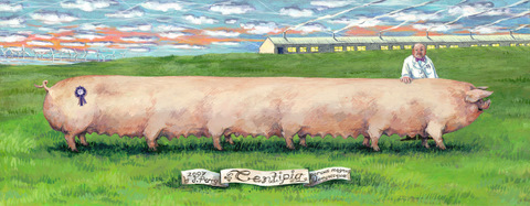 Centipig: Giclee print for sale
