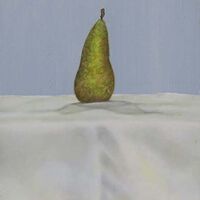 Pear on Cloth