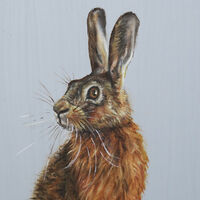 The Hare