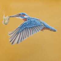 Kingfisher with Fish