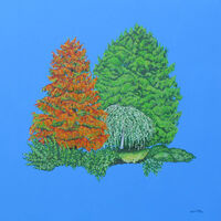 The Beauty of the Trees (Near Water)