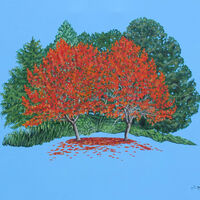 The Beauty of the Trees (Twins)