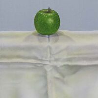 Apple and Cloth