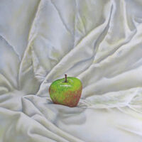 Apple with Rumpled Cloth