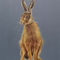 Hare Sitting
