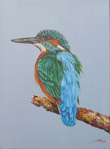 Kingfisher